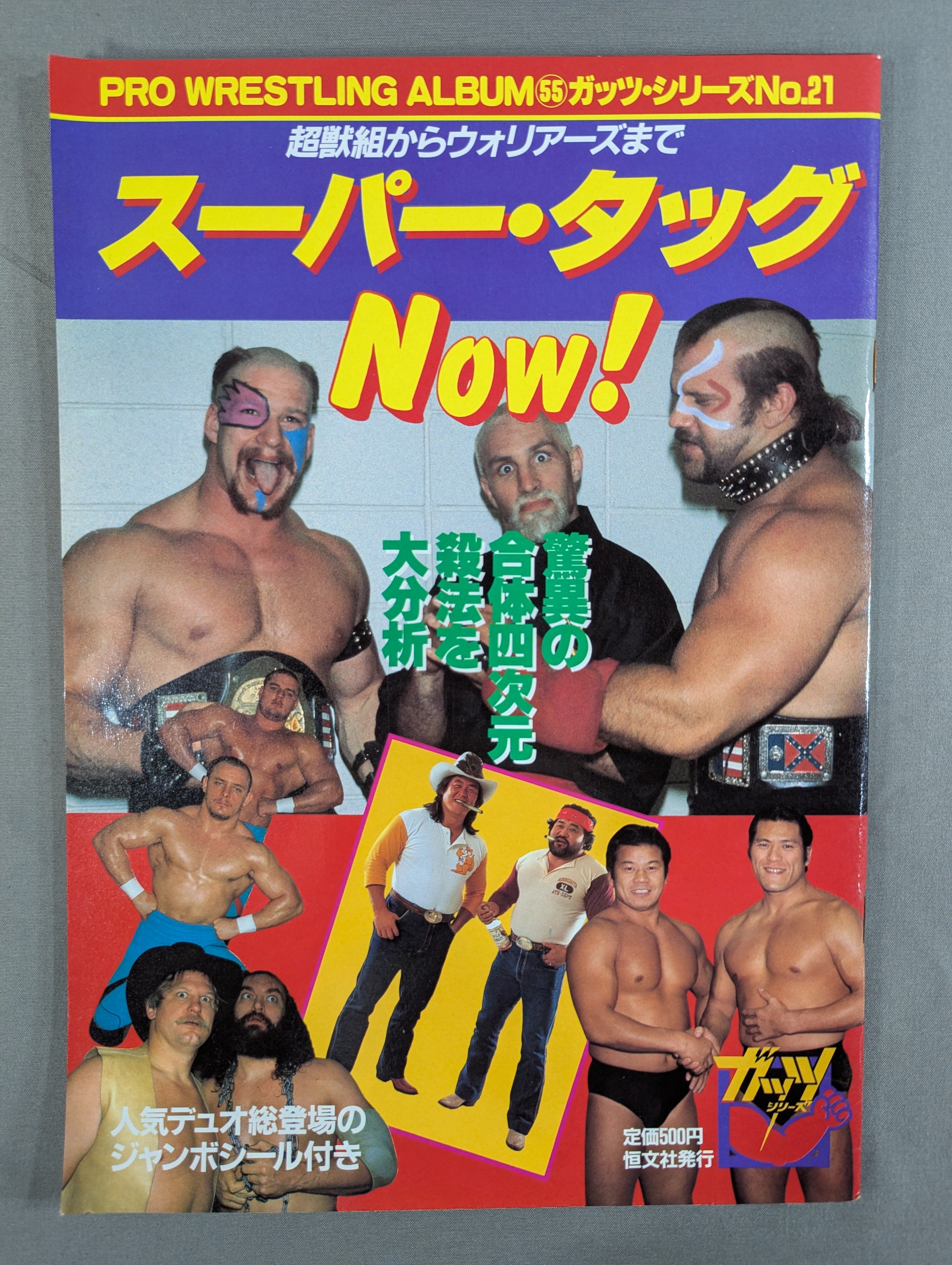 プロレスアルバム55 スーパータッグNOW! – 闘道館