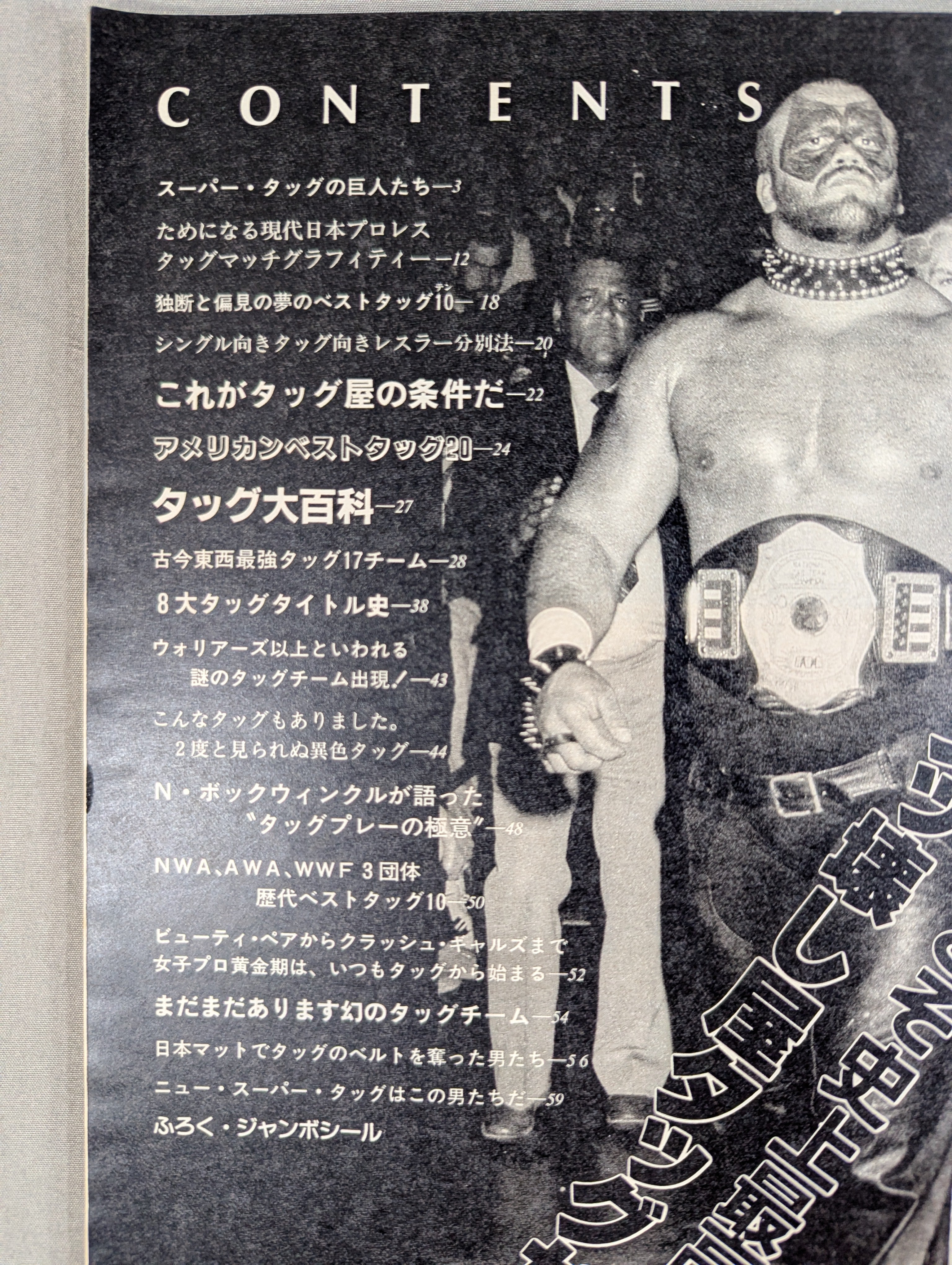プロレスアルバム55 スーパータッグNOW! – 闘道館