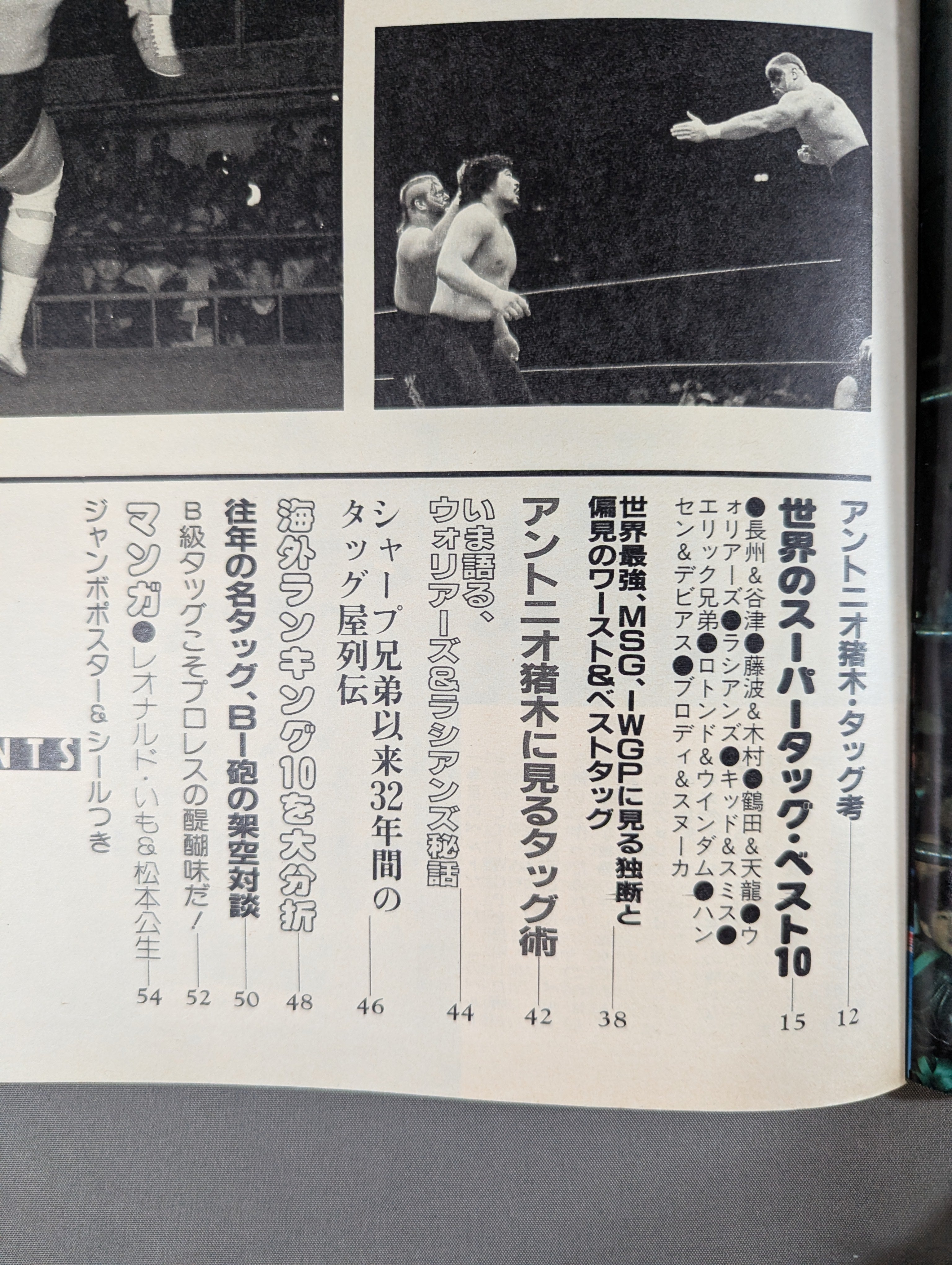 プロレスアルバム65 これっきゃない!ニューウェーブ・タッグ – 闘道館
