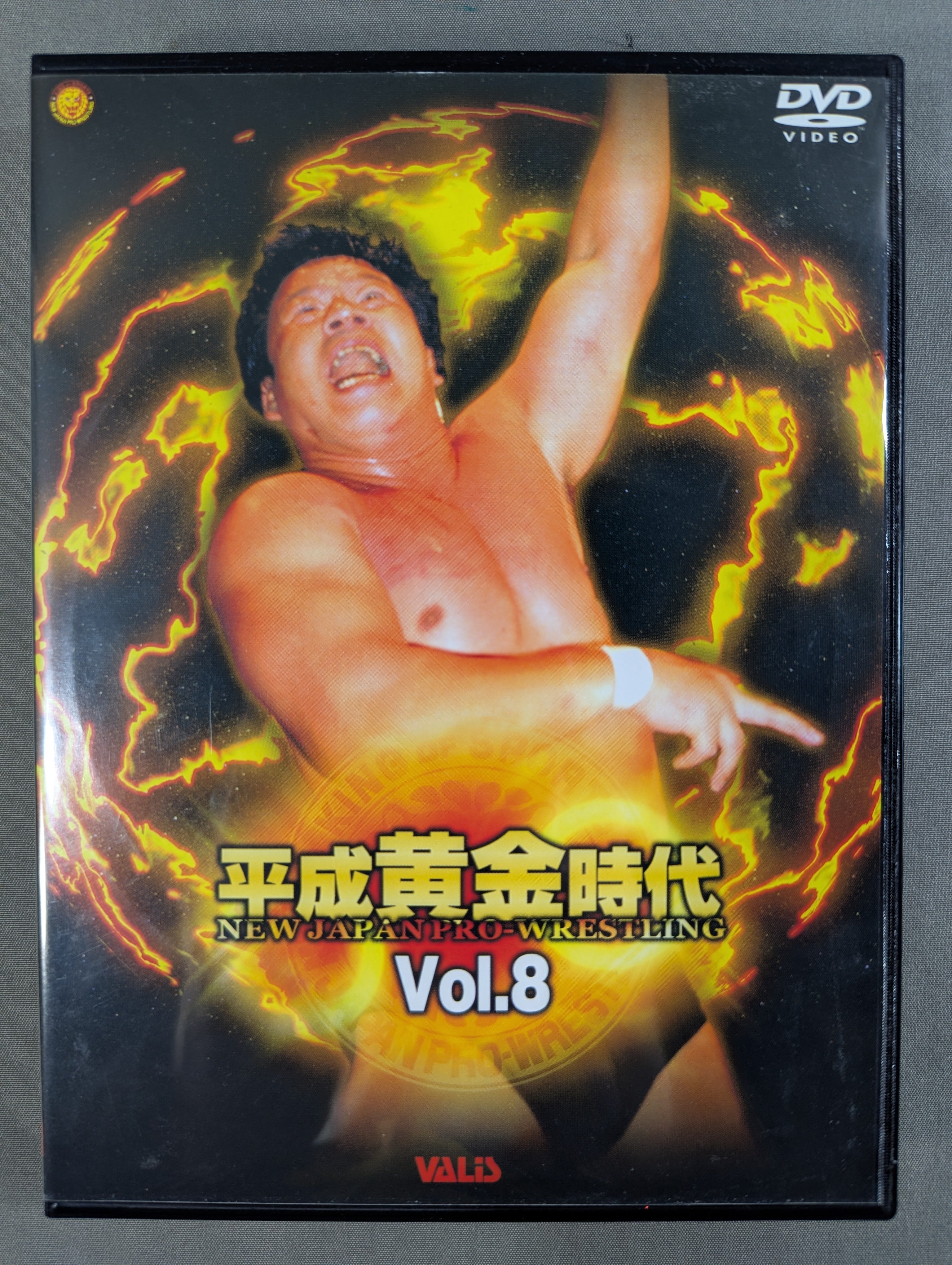 新日本プロレス 平成黄金時代 Vol.8 闘魂VスペシャルDVD Vol.8 – 闘道館