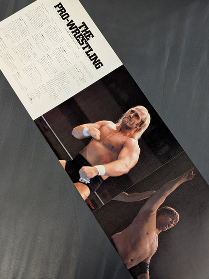 The Pro-wrestling