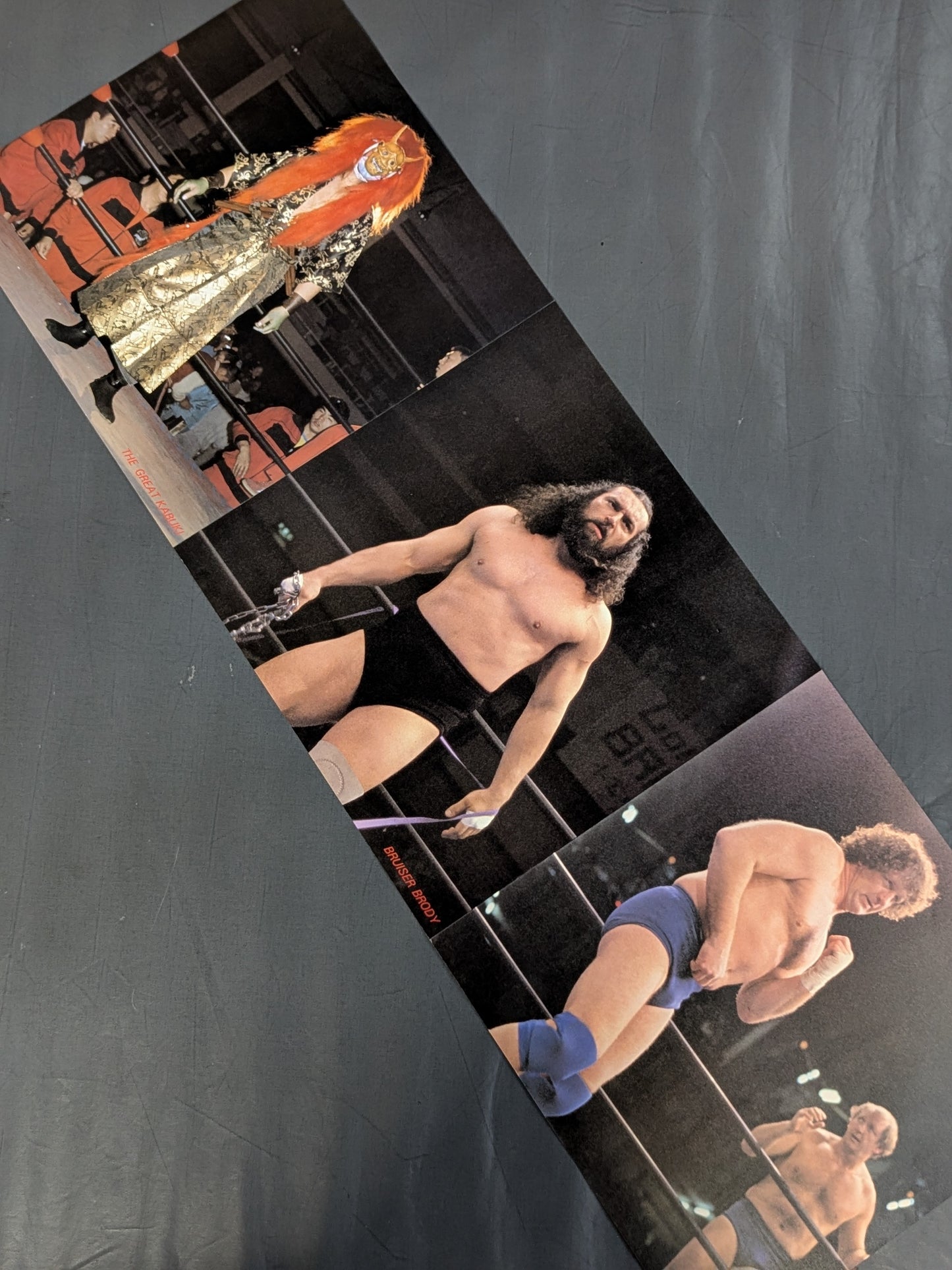 The Pro-wrestling