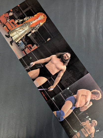 The Pro-wrestling