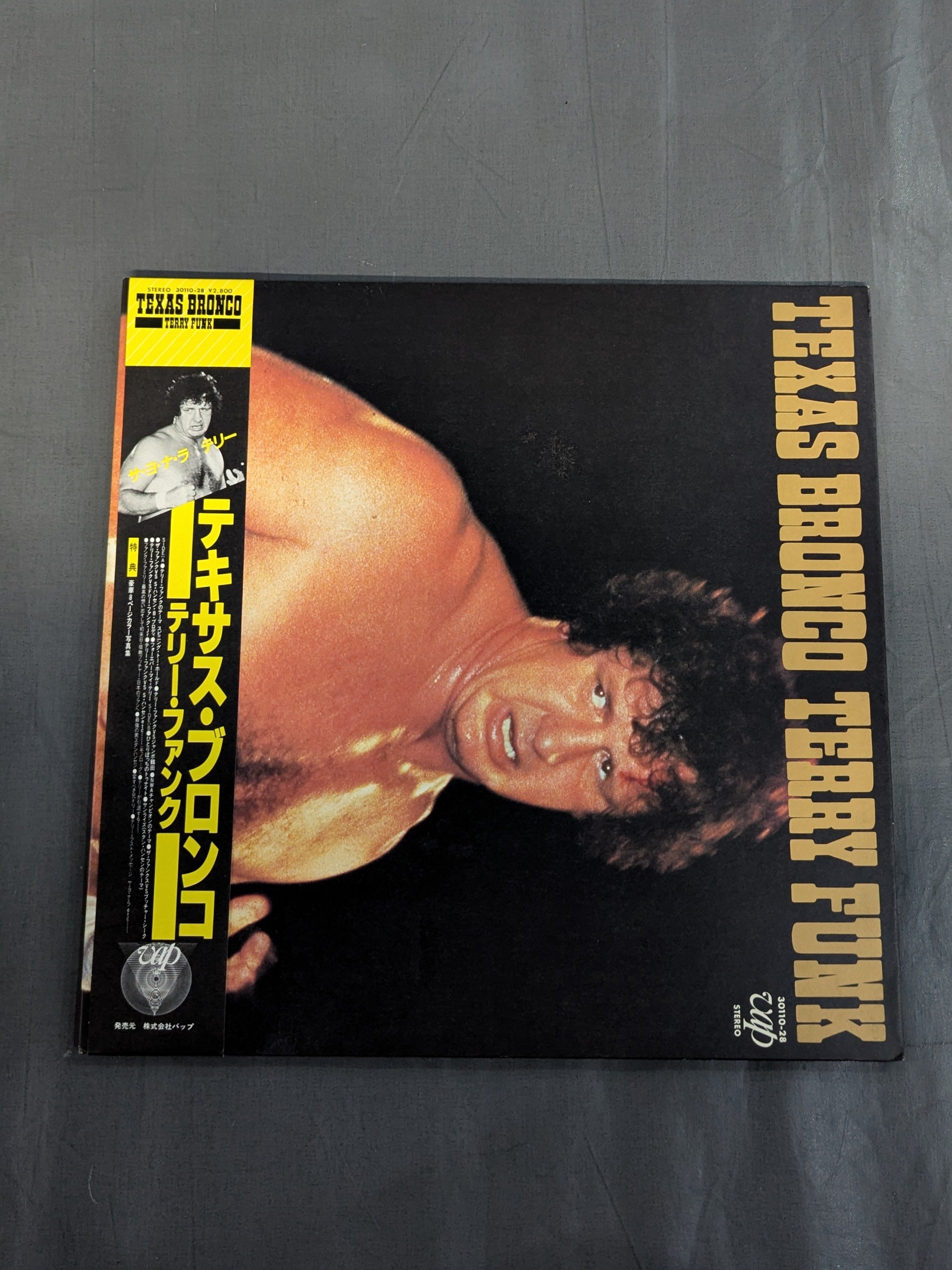 TEXAS BRONCO TERRY FUNK / テキサス・ブロンコ テリー・ファンク – 闘道館
