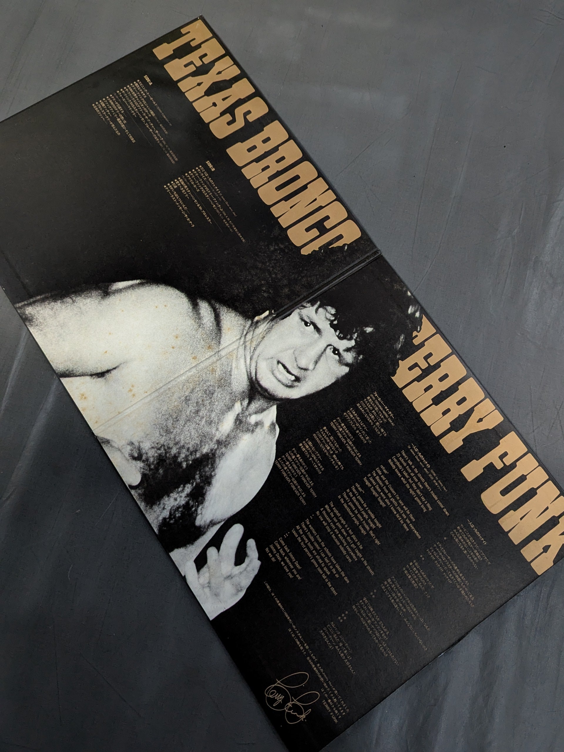 TEXAS BRONCO TERRY FUNK / テキサス・ブロンコ テリー・ファンク – 闘道館