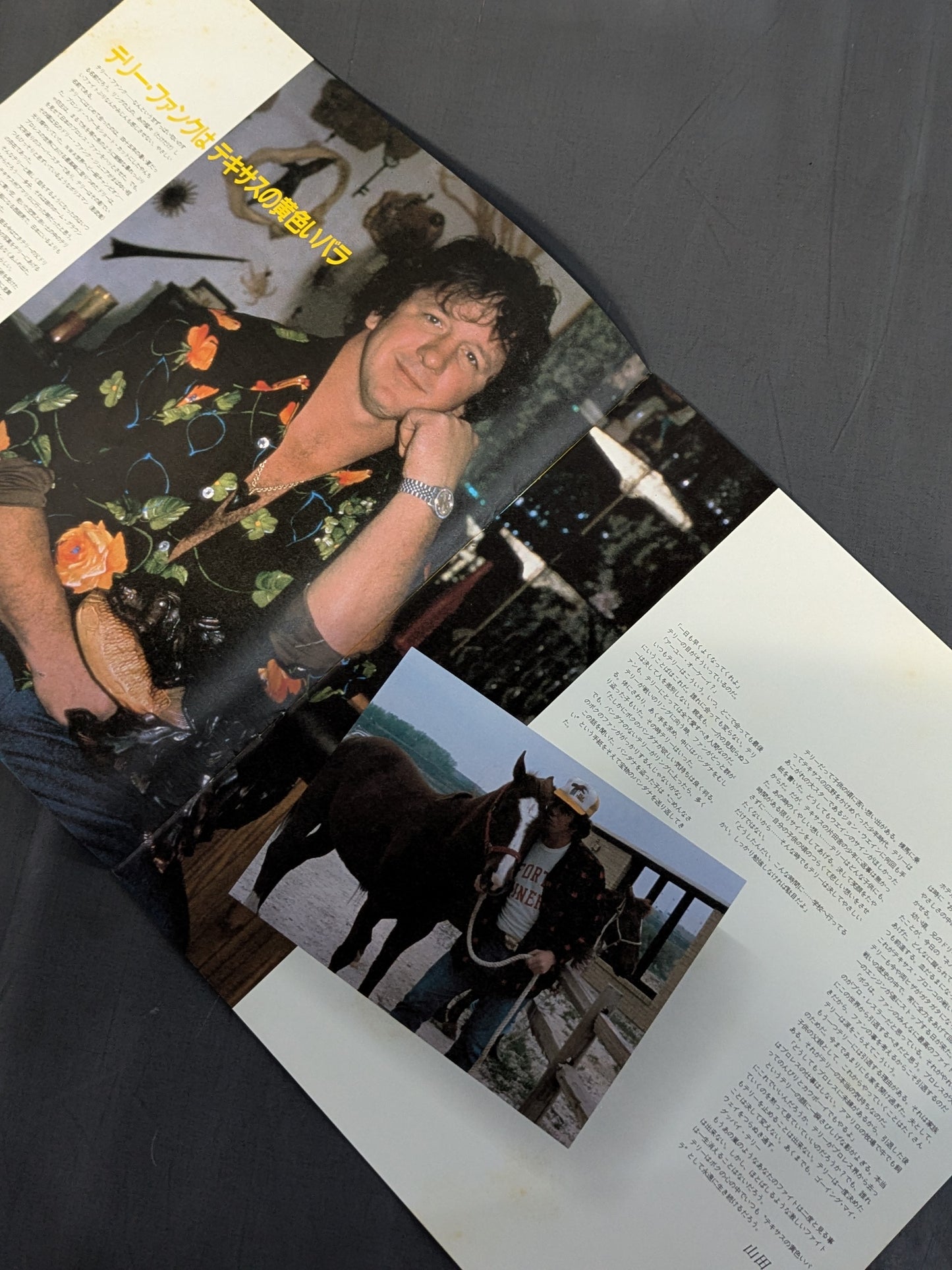 TEXAS BRONCO TERRY FUNK