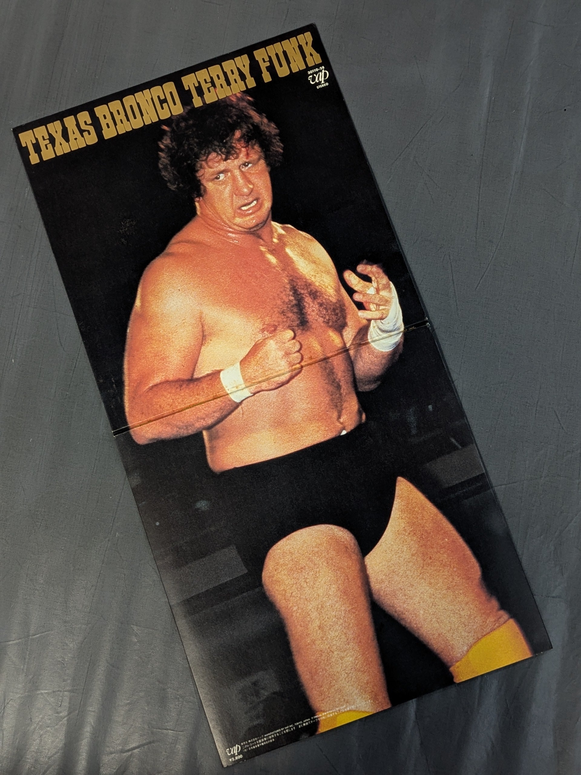 TEXAS BRONCO TERRY FUNK / テキサス・ブロンコ テリー・ファンク – 闘道館