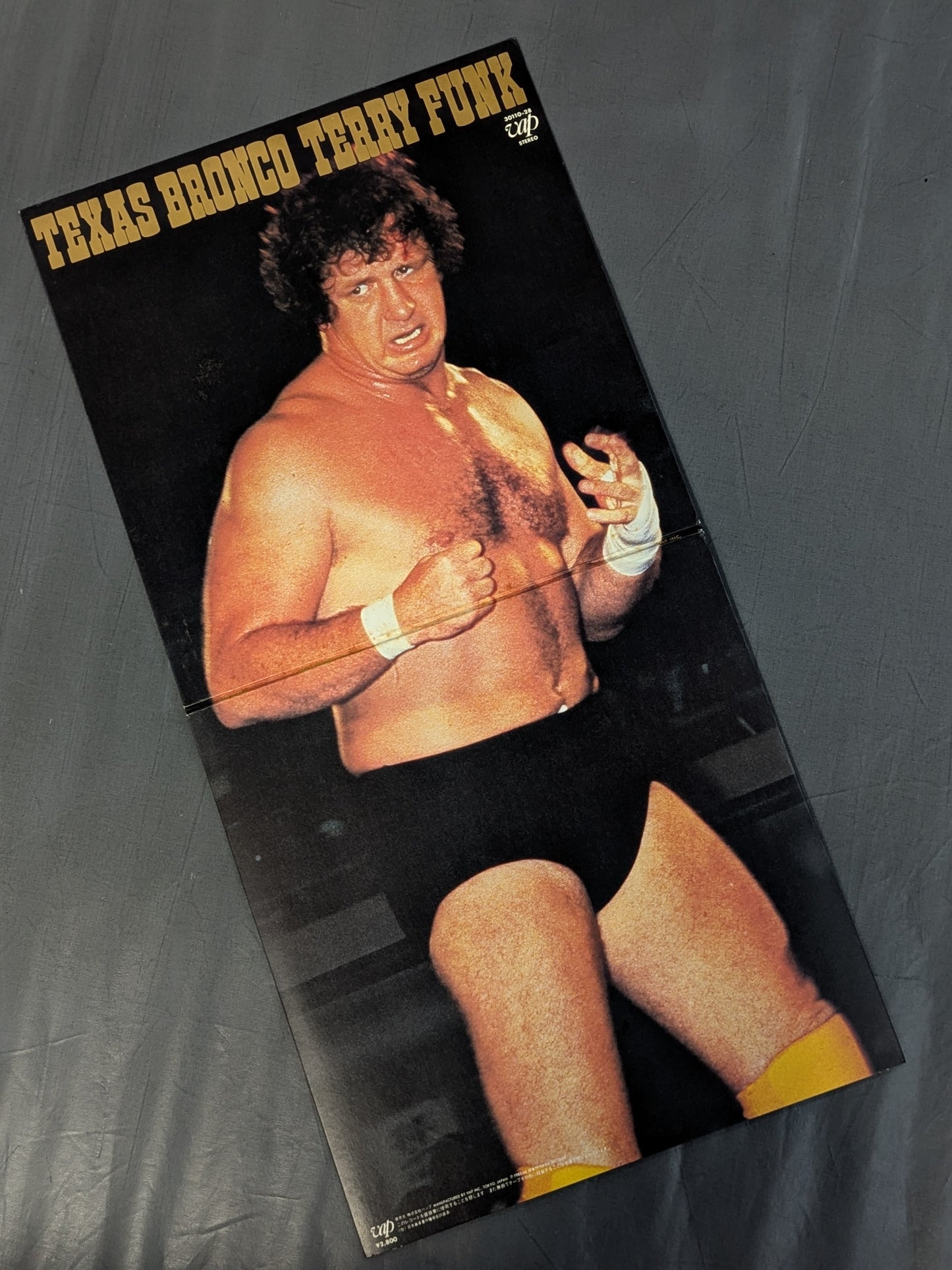 TEXAS BRONCO TERRY FUNK