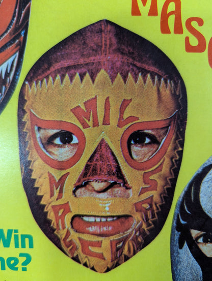 THE BIG BOOK OF WRESTLING 1974年11月号