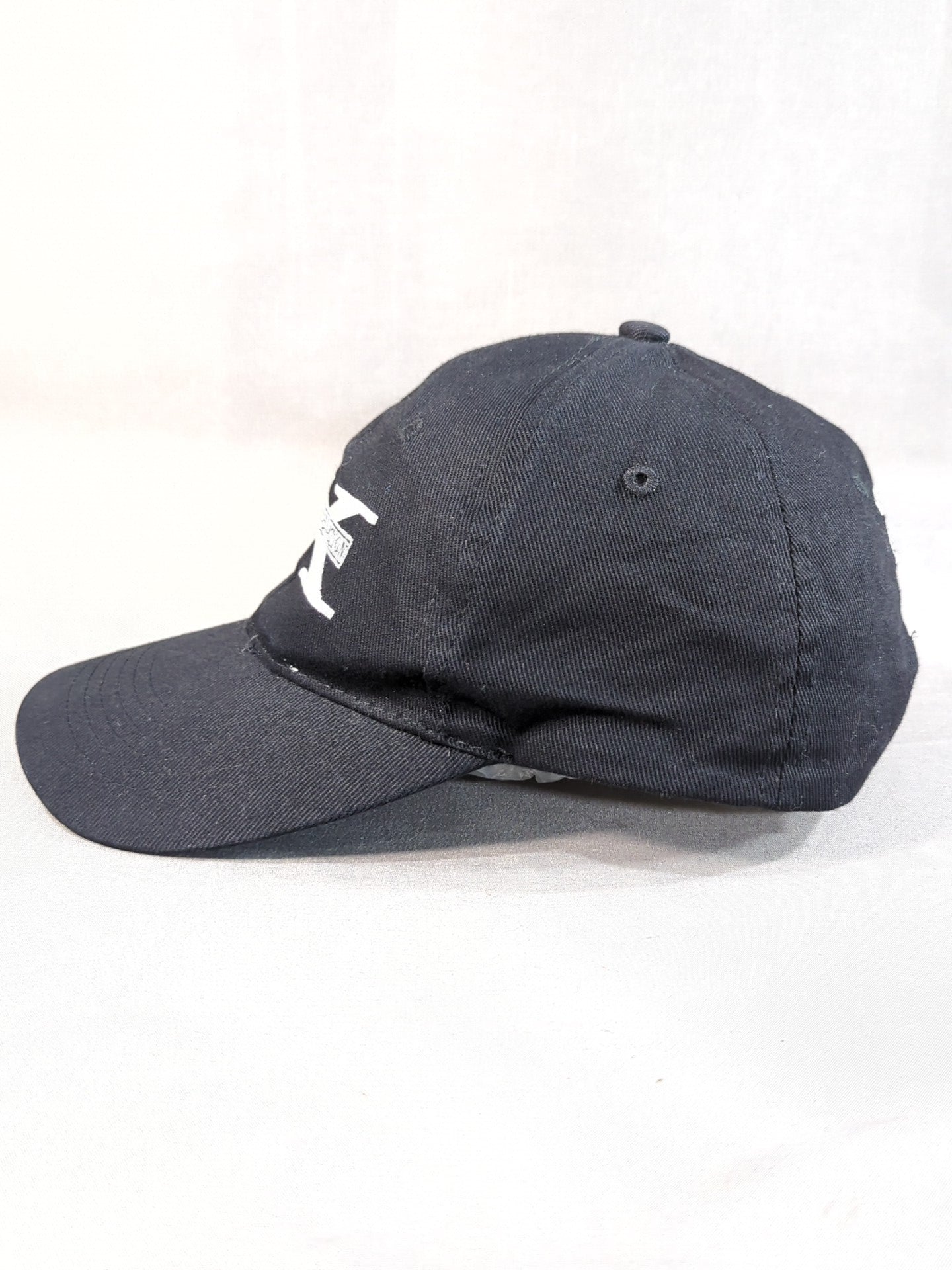 D-GENERATION X "TWO WORDS S*CK IT" Cap (Black)
