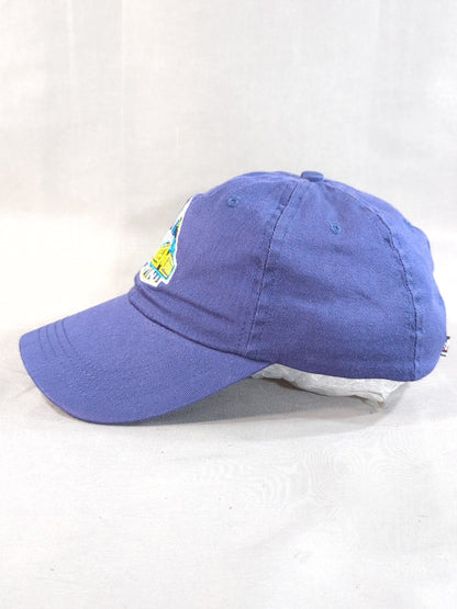 WRESTLEMANIA 29 Cap (2013 (WWE) / Navy)