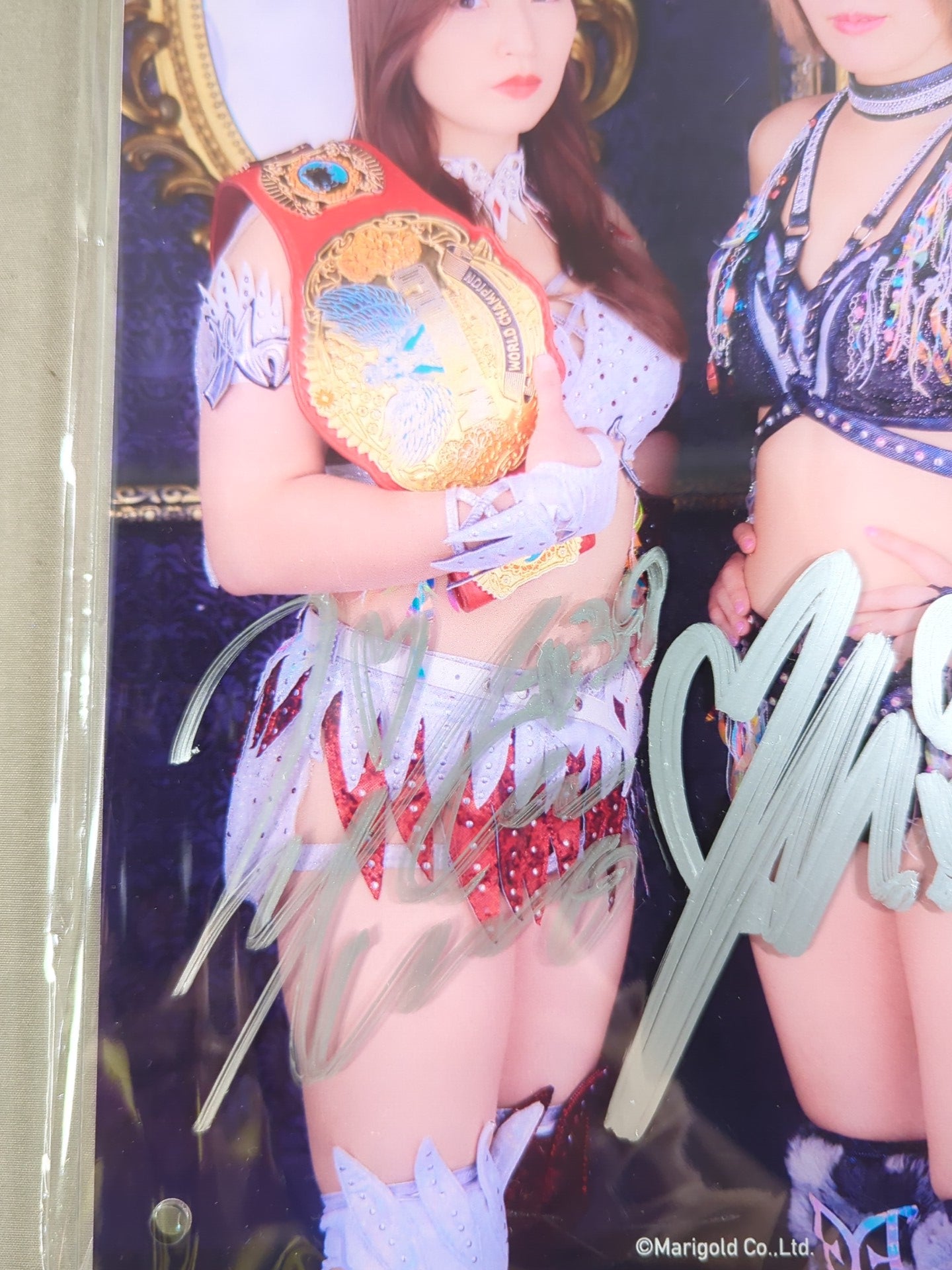 直筆サイン入り】青野未来vs桜井麻衣 アクリルパネル – 闘道館