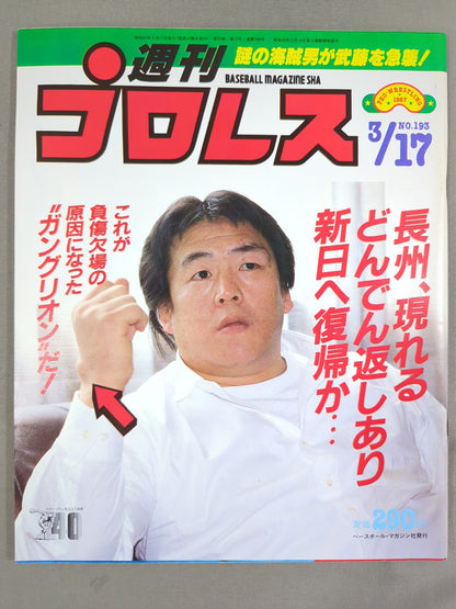Weekly Pro Wrestling  193