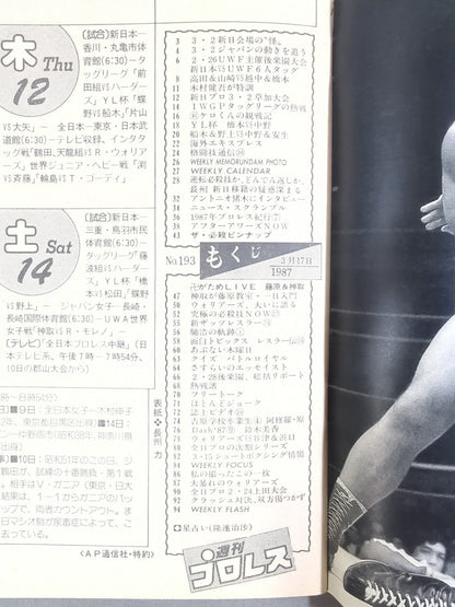 Weekly Pro Wrestling  193