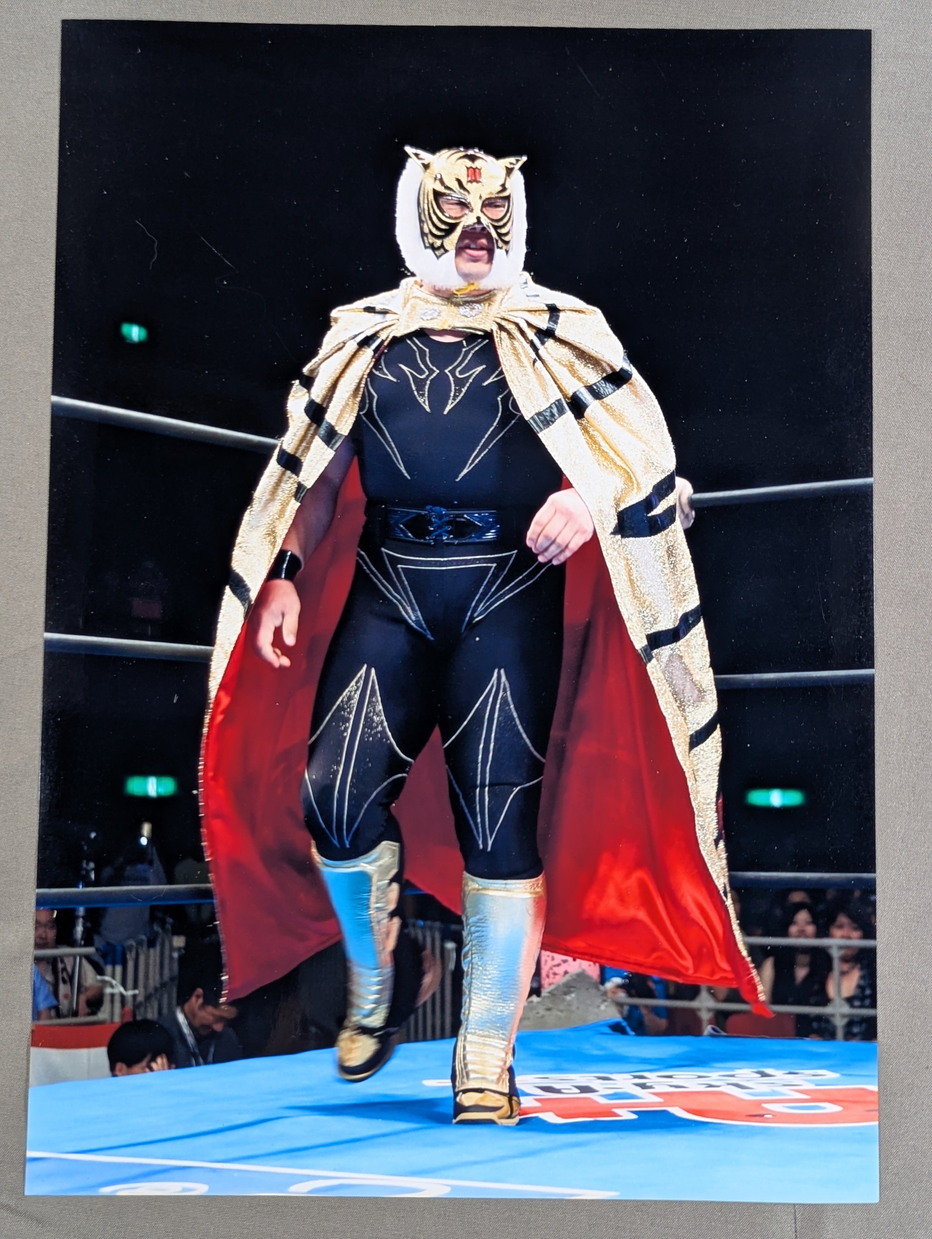 Wrestling All Stars トレカ 初代タイガーマスク 初代タイガーマスク – 闘道館