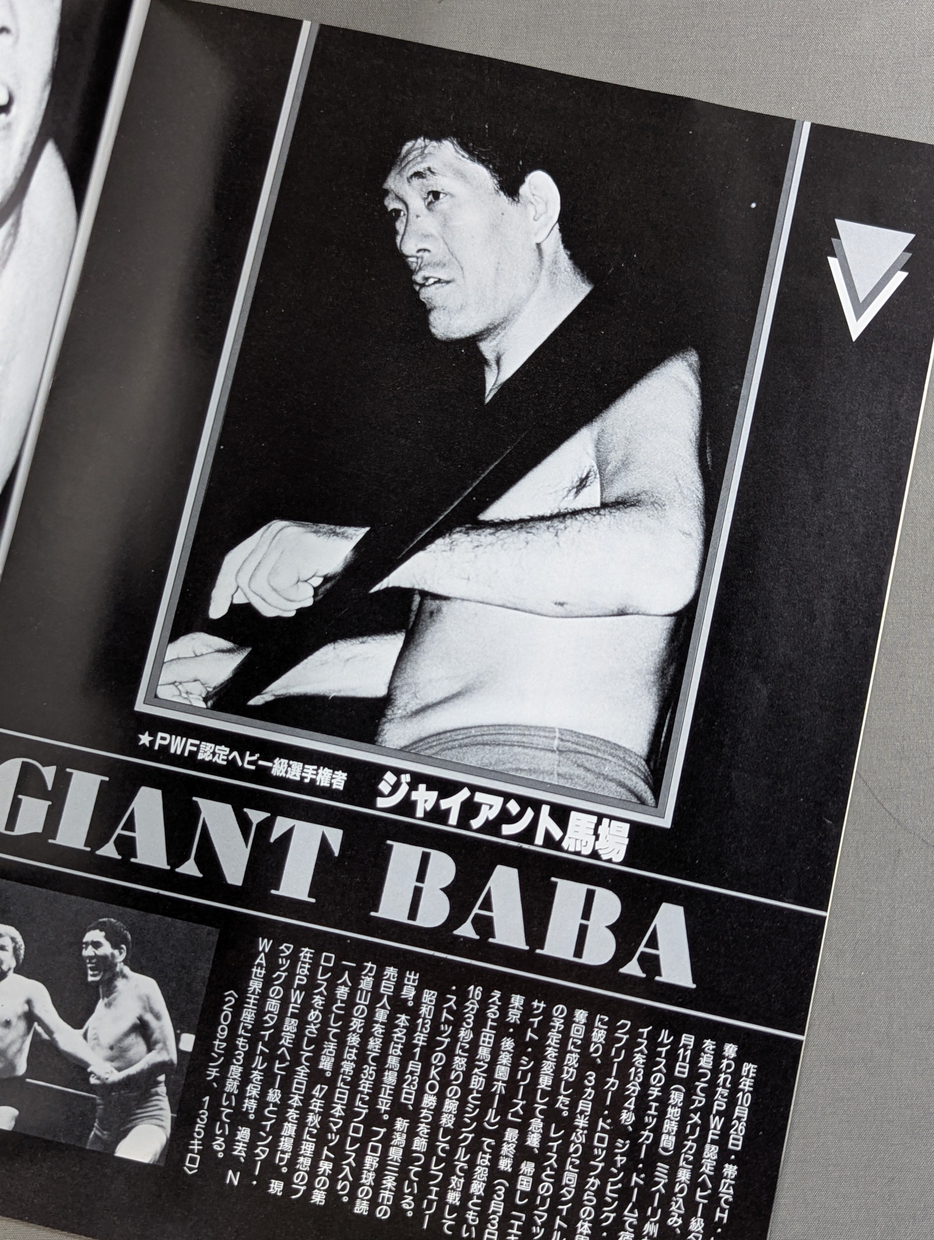 ☆馬場vsレイス PWF戦☆ 83グランド・チャンピオン・カーニバルⅠ – 闘道館