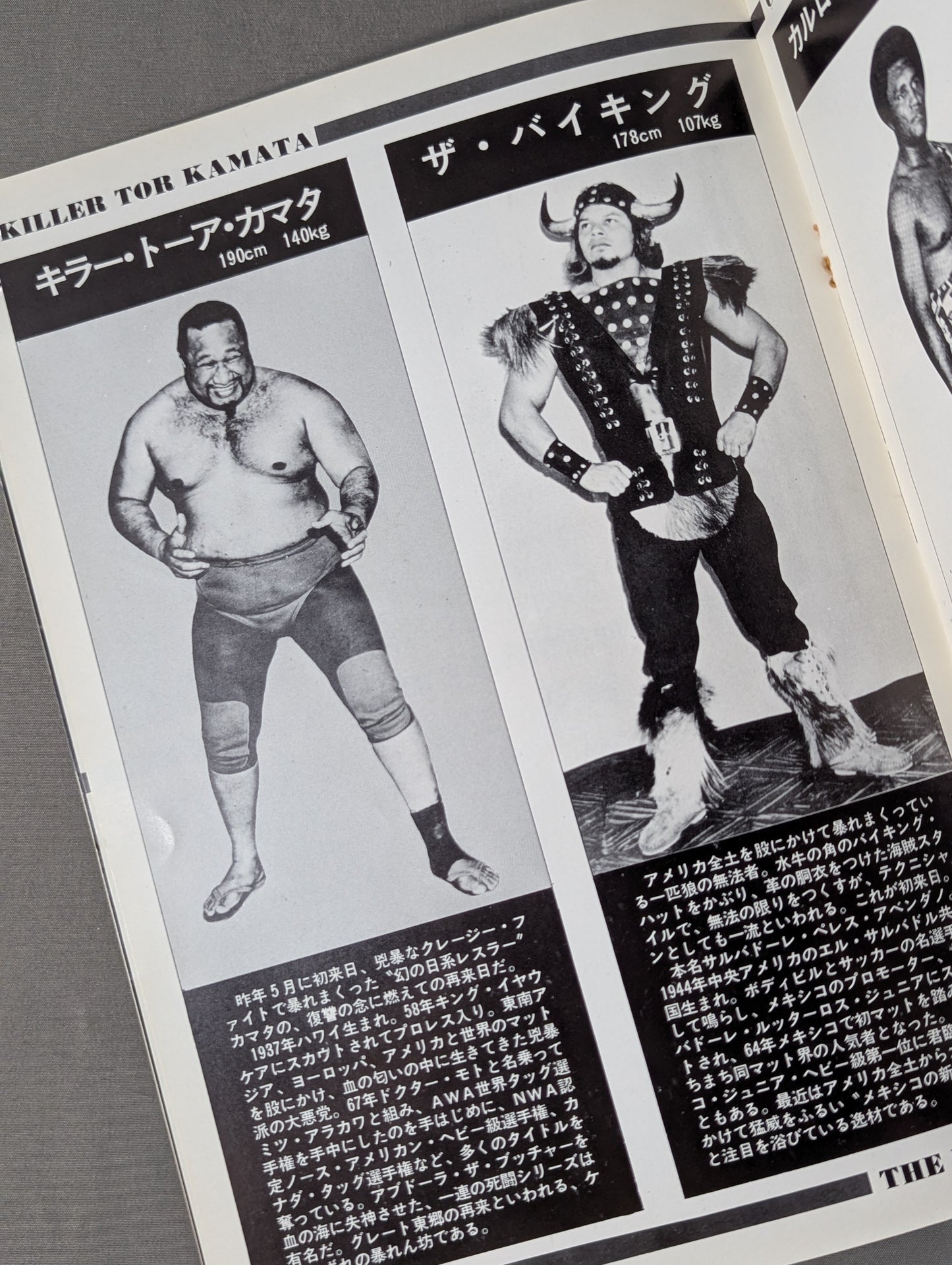 76スーパーファイトシリーズ