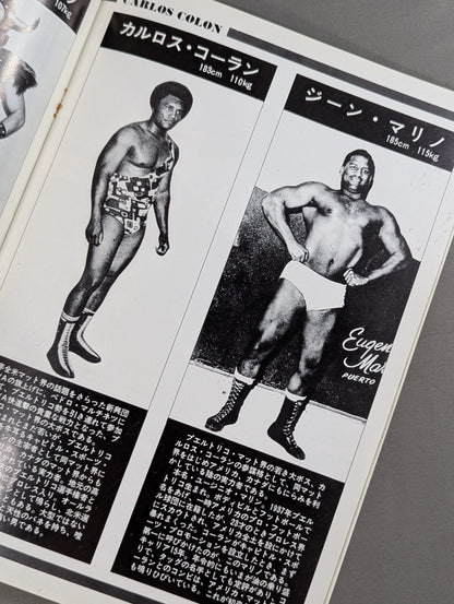76スーパーファイトシリーズ