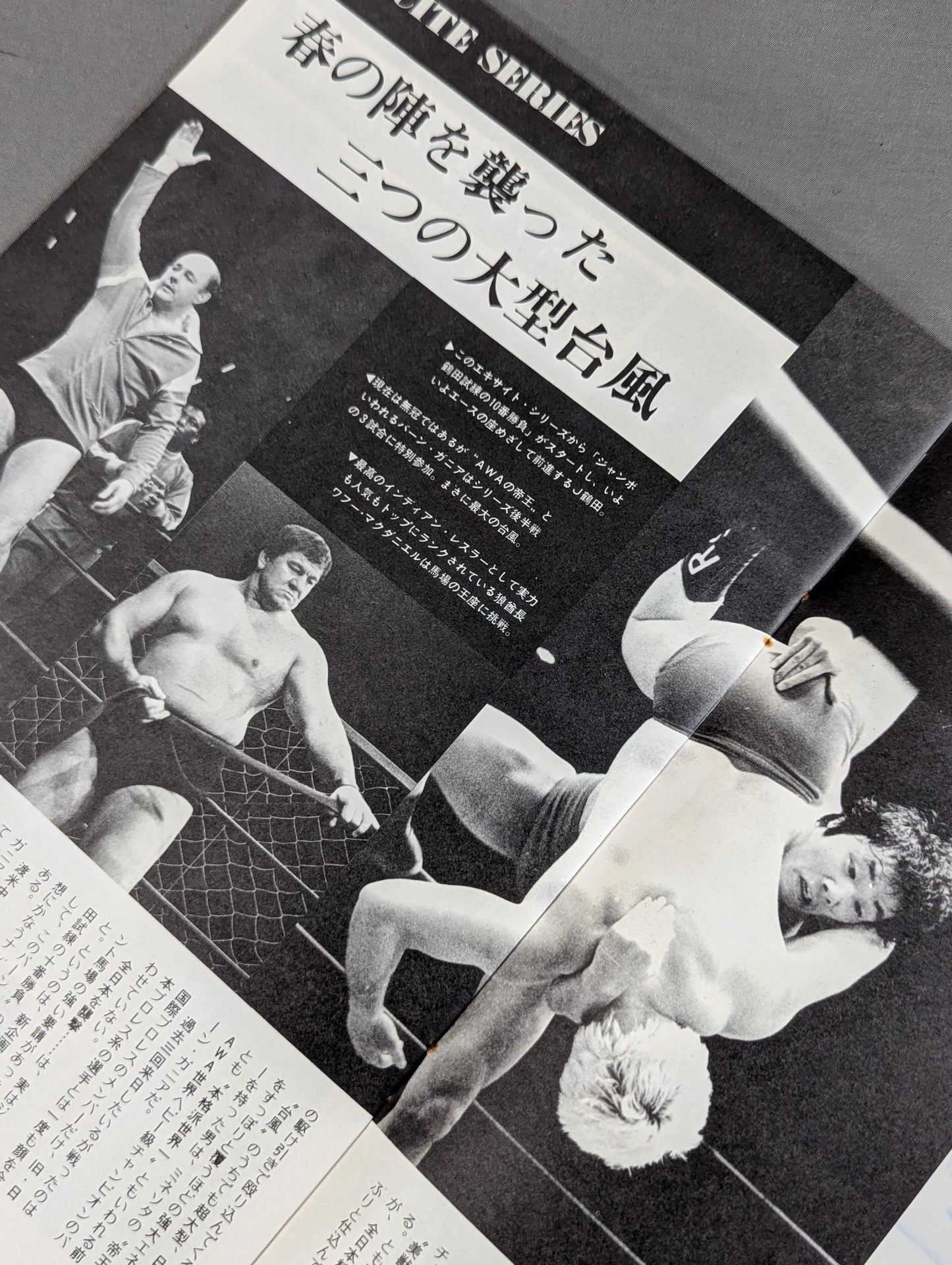 ★ Tsuruta vs Verne Gagne ★ 76 Excite Series