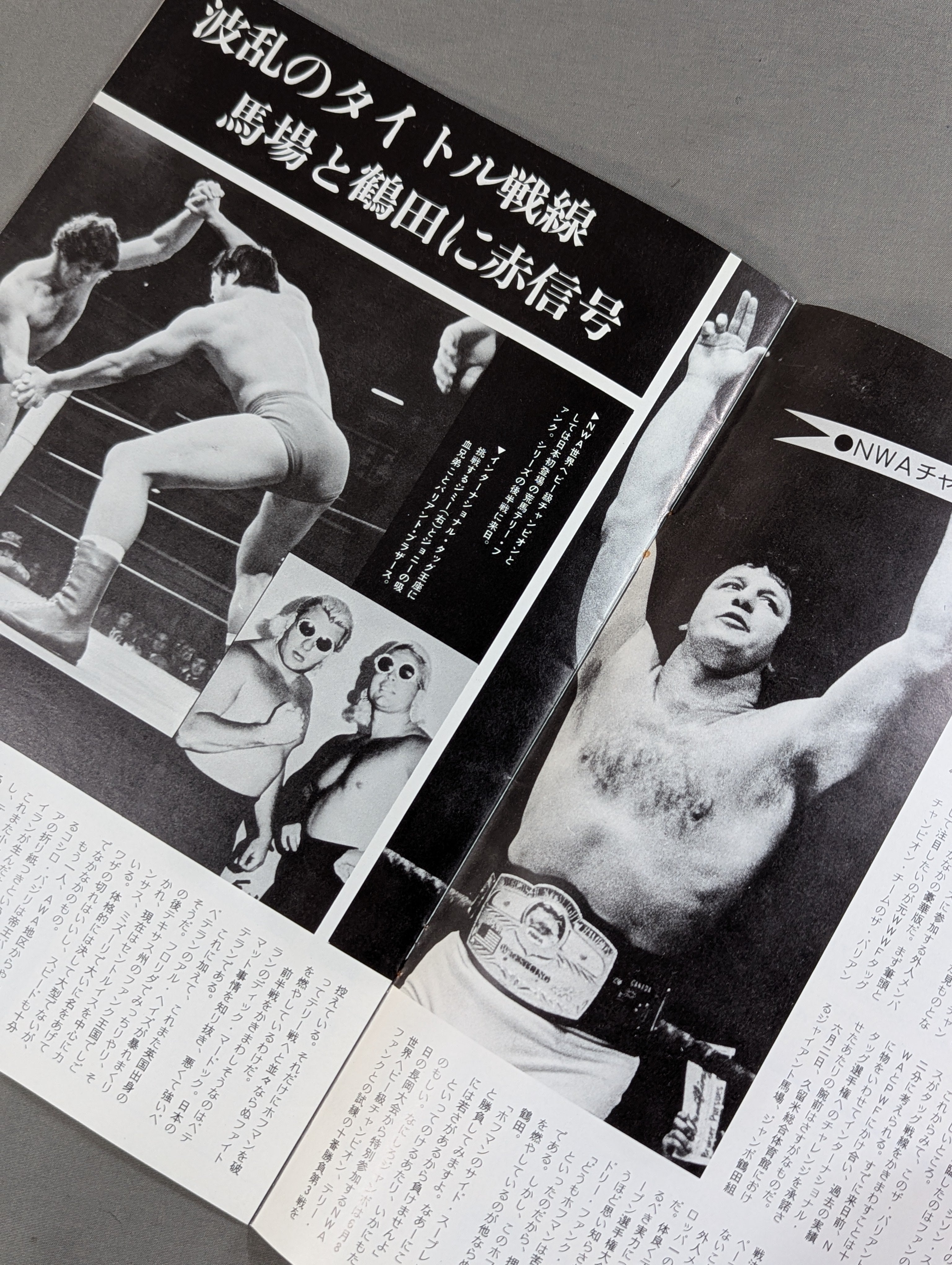 ☆テリーvs鶴田 NWA戦☆ 76NWAチャンピオン・シリーズ – 闘道館