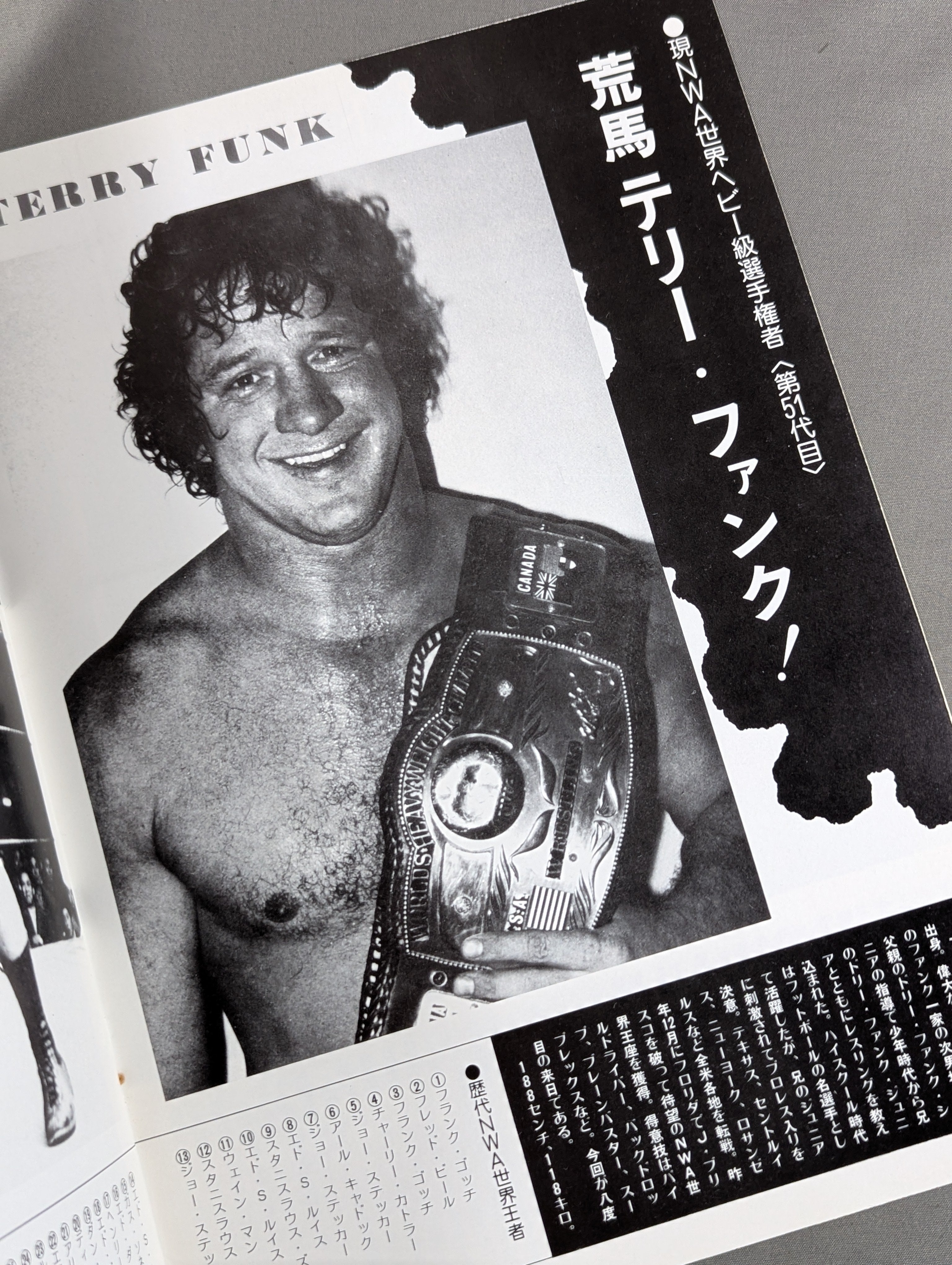 ☆テリーvs鶴田 NWA戦☆ 76NWAチャンピオン・シリーズ – 闘道館