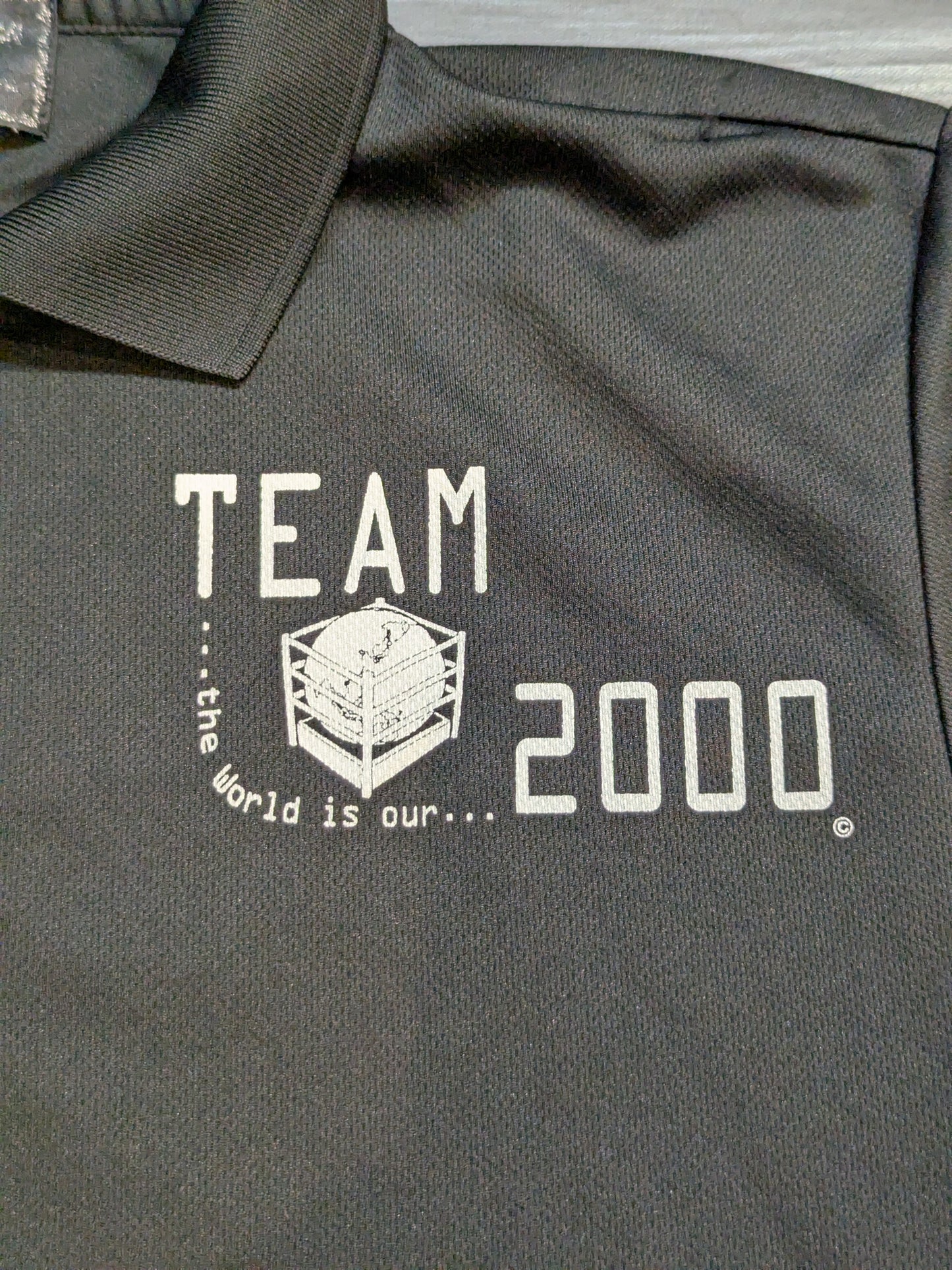 ARISTRIST AT TEAM2000 ポロシャツ(ブラック)