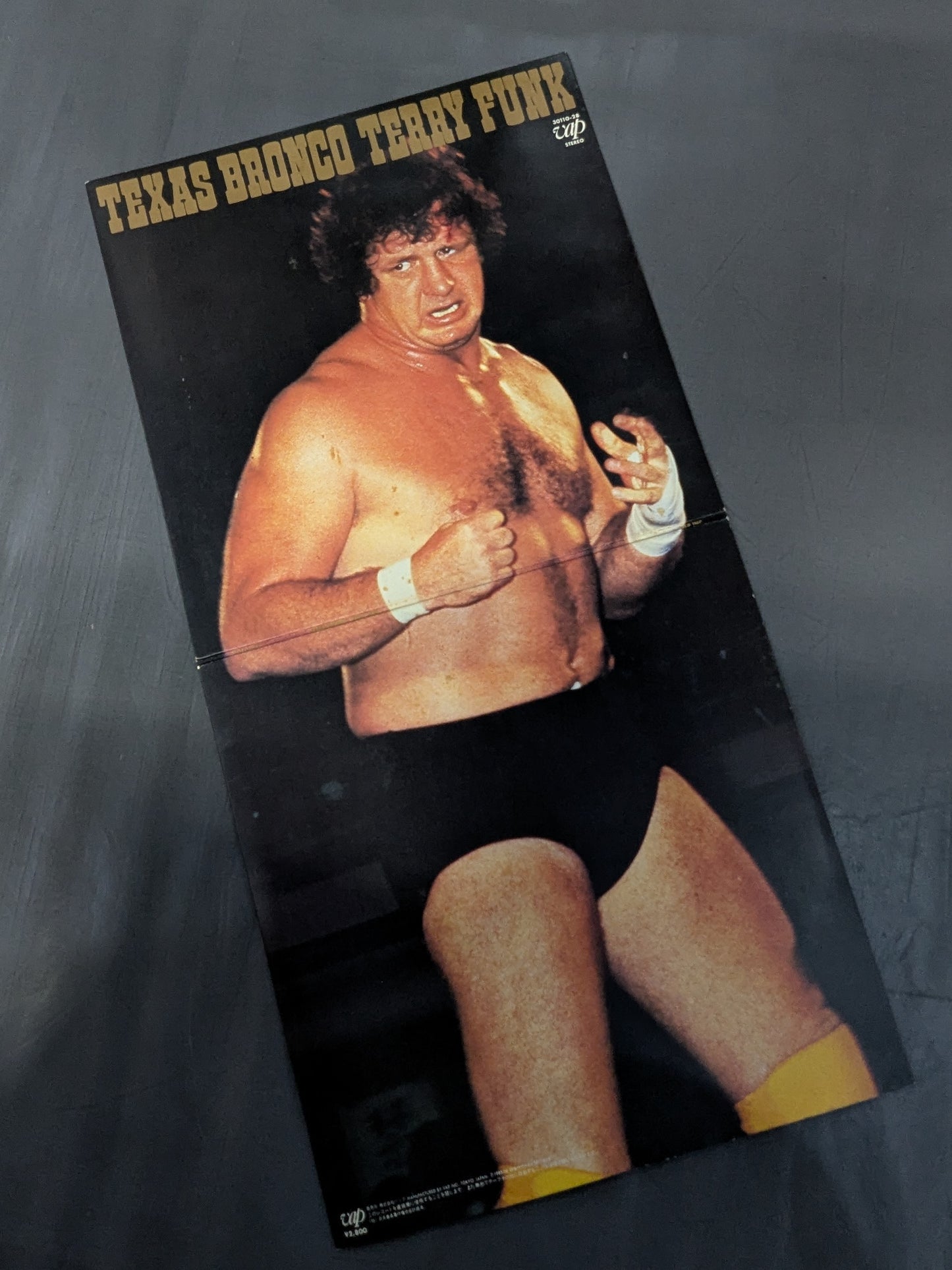 TEXAS BRONCO TERRY FUNK