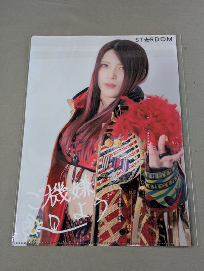 Utami Hayashishita  plastic file folder 