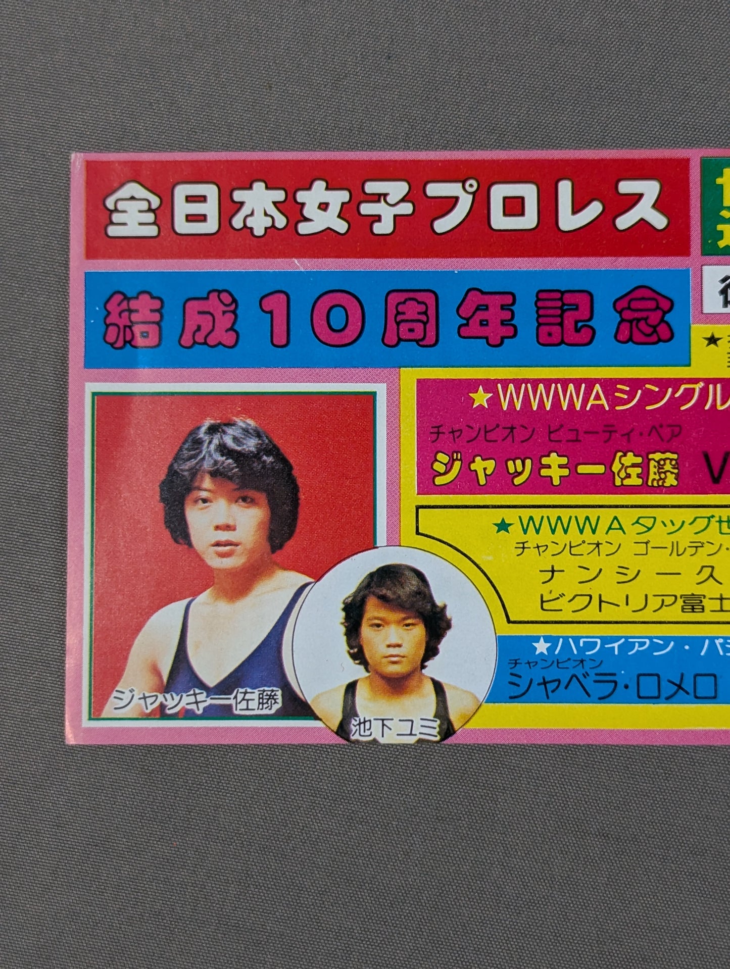 ★ 10th Anniversary ★ All Japan Women\'s Pro Wrestling Japan Budokan Tournament Discount Ticket
