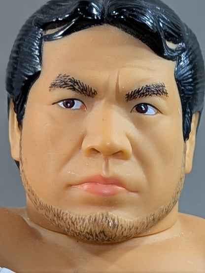 Mitsuharu Misawa  (Green Tights)