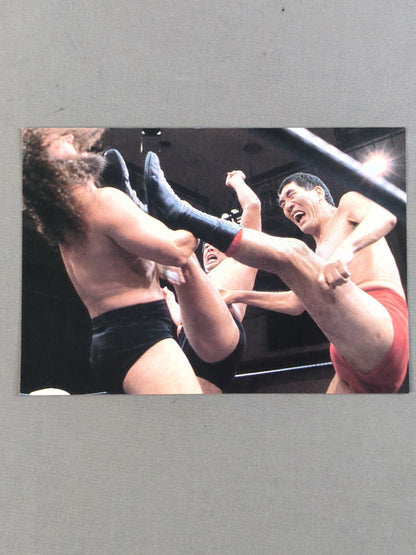 Giant Baba Postcard