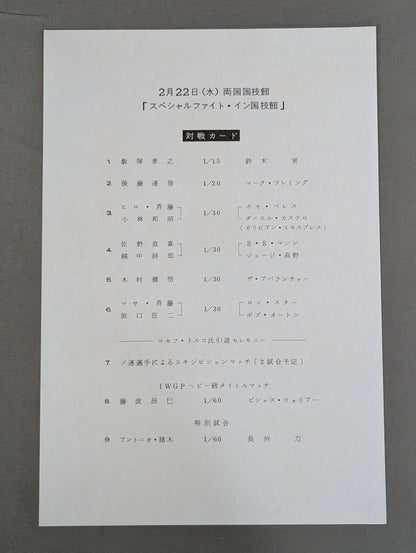 スペシャルファイト・イン国技館
