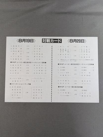 ★ポートレート3枚・VHS広告付★ サマー・ナイト・フィーバーIN国技館