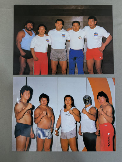 ★ポートレート3枚・VHS広告付★ サマー・ナイト・フィーバーIN国技館