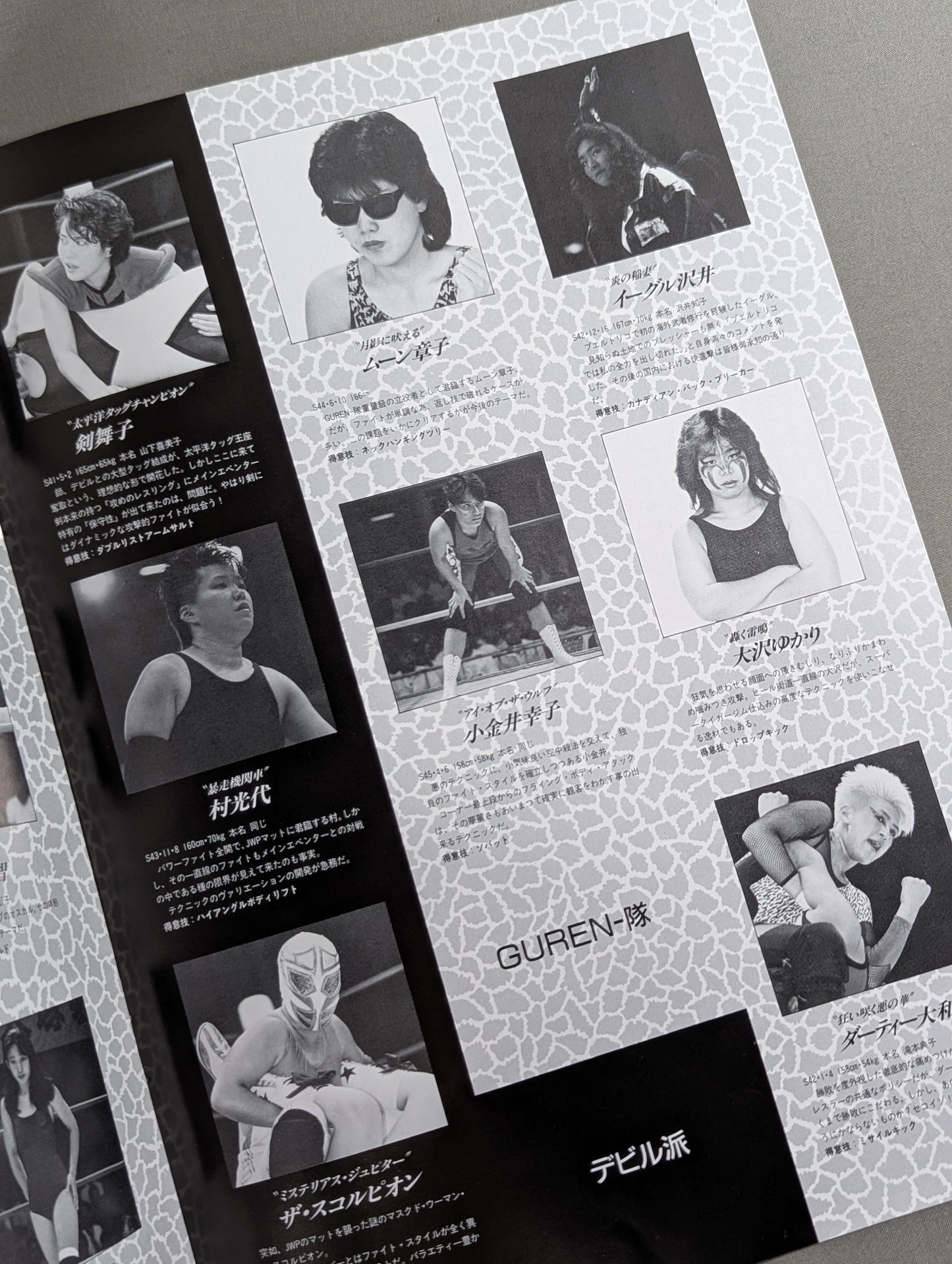 ジャパン女子プロレス The JWP Vol.7