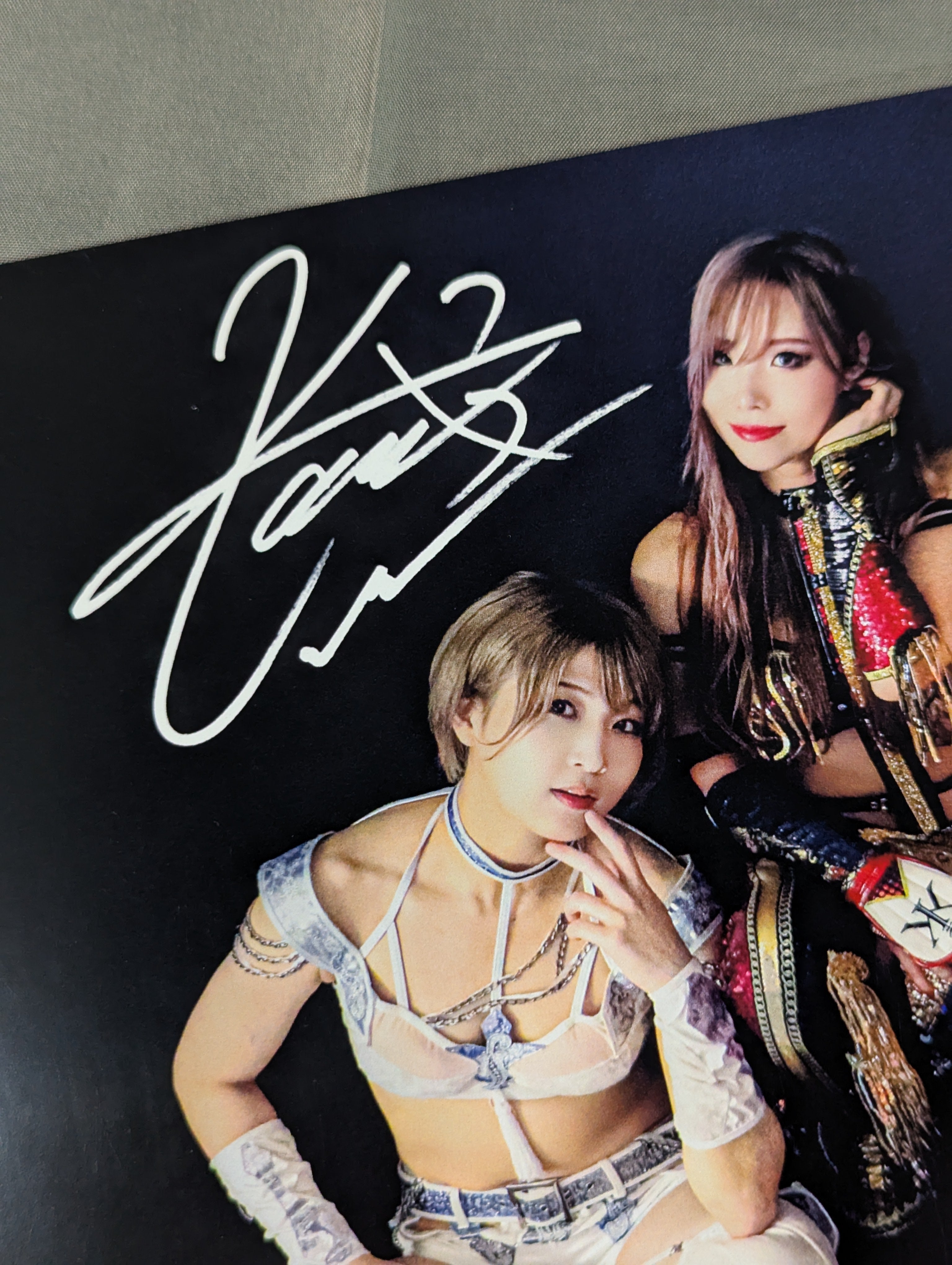KAIRI 安納サオリ ウナギサヤカ Sareeポートレート KAIRI.Sareee.安納サオリ.ウナギ・サヤカ ポートレート(A-1) – 闘道館