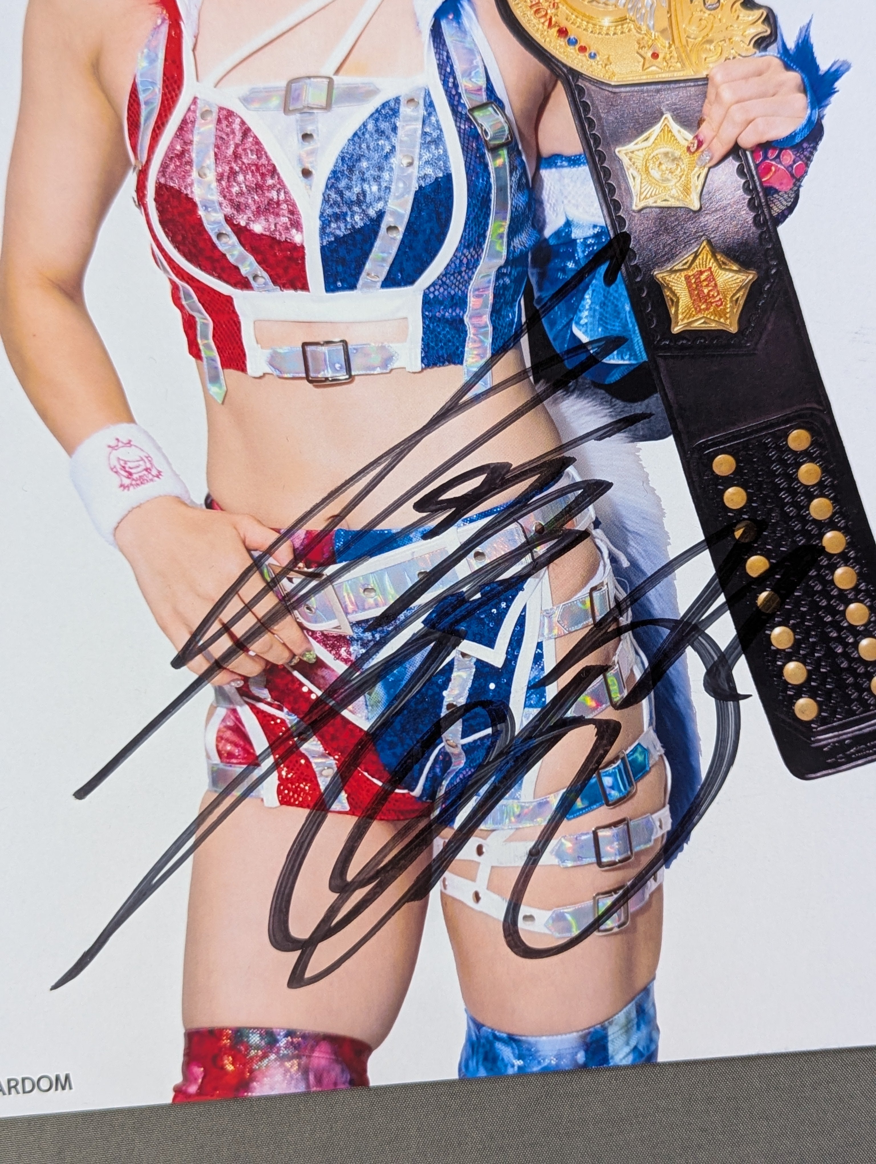 ☆IWGP☆ 岩谷麻優 直筆サイン入り スターダムポートレート(A-6) – 闘道館