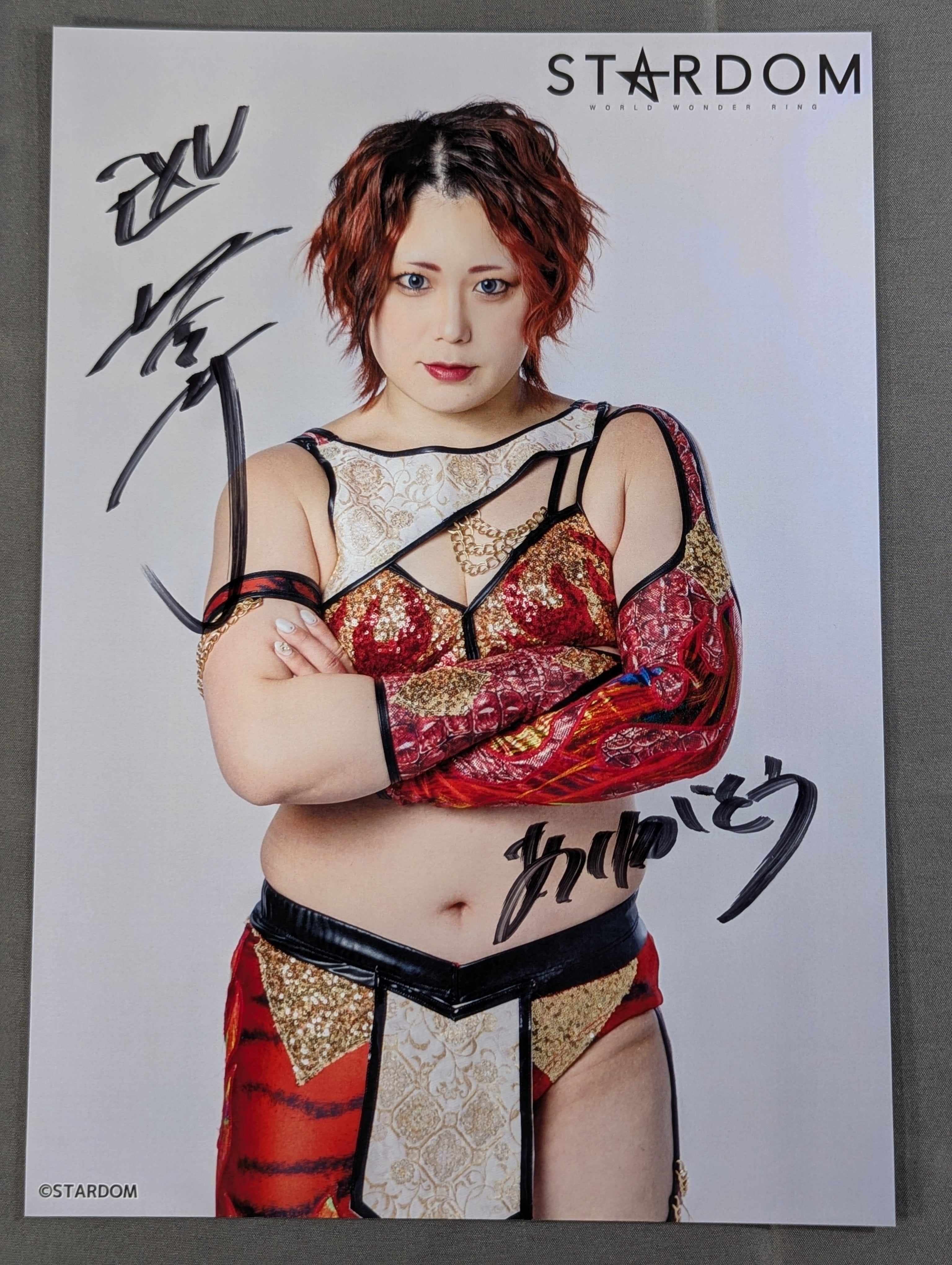 女子プロレス – 闘道館