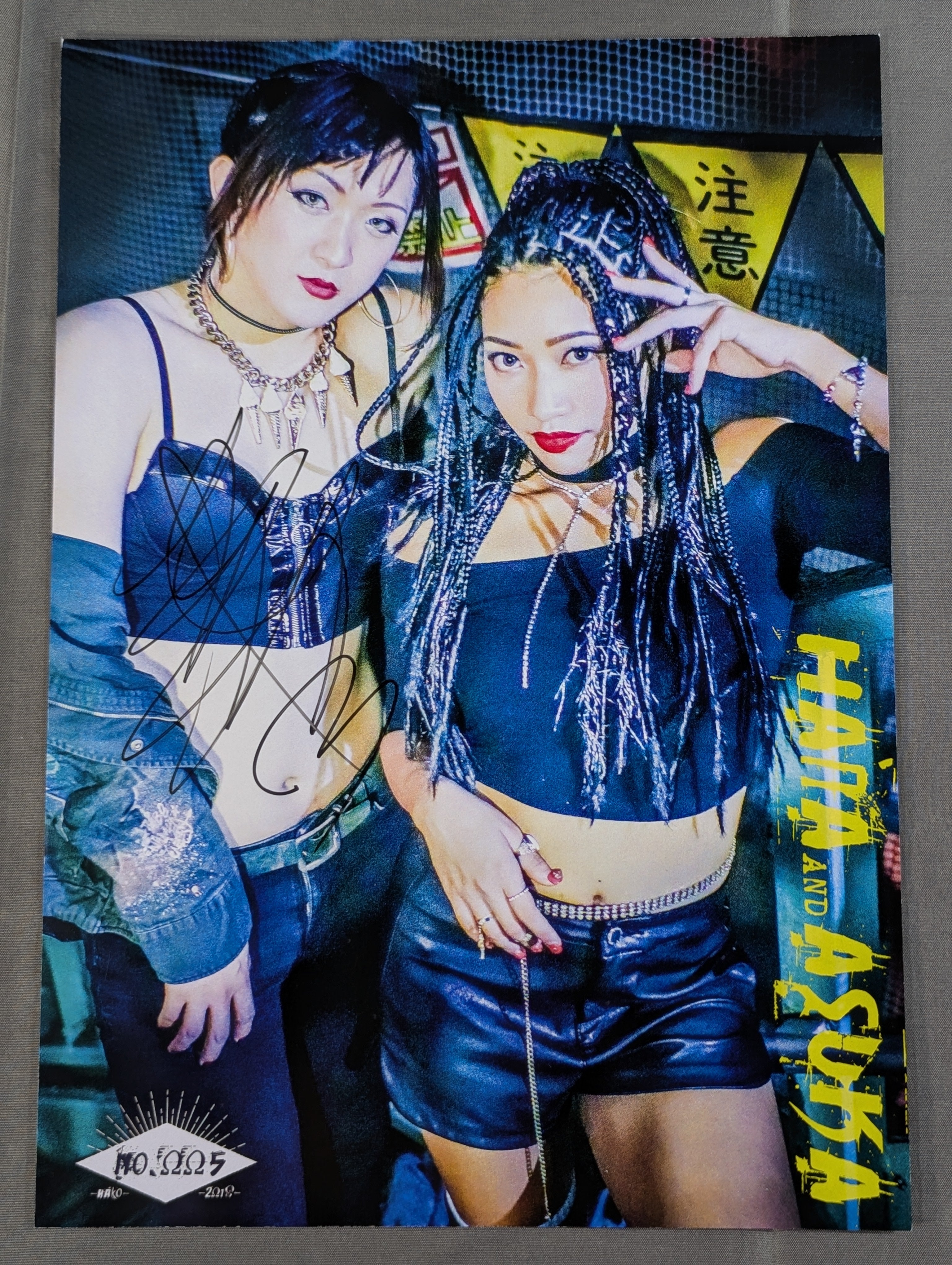 朱崇花 直筆サイン入りポートレート(A-2) – 闘道館