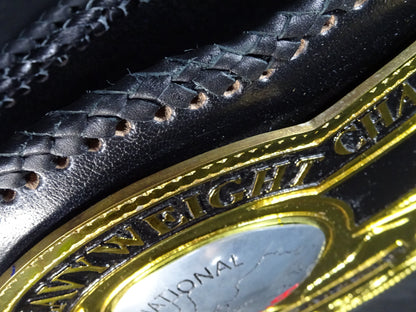 NWA World Heavyweight Title Champion Belt