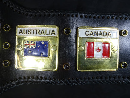 NWA World Heavyweight Title Champion Belt