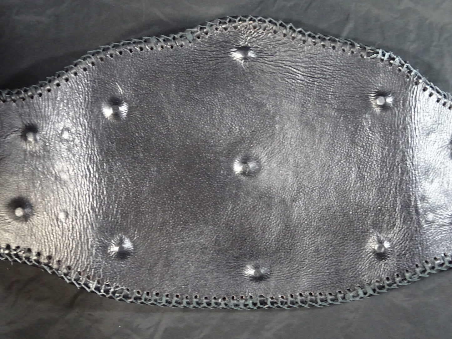 NWA World Heavyweight Title Champion Belt