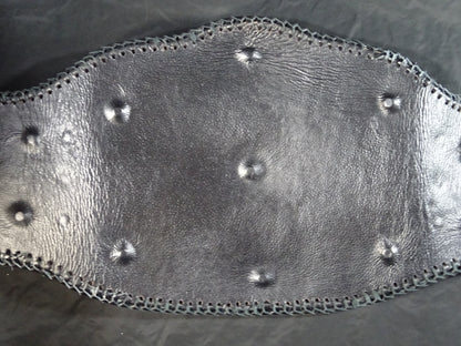 NWA World Heavyweight Title Champion Belt