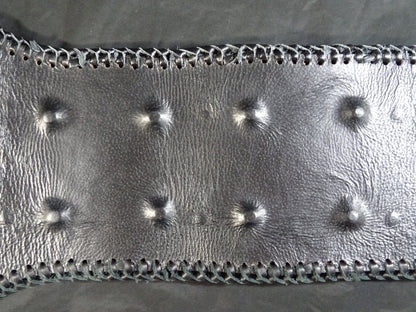 NWA World Heavyweight Title Champion Belt