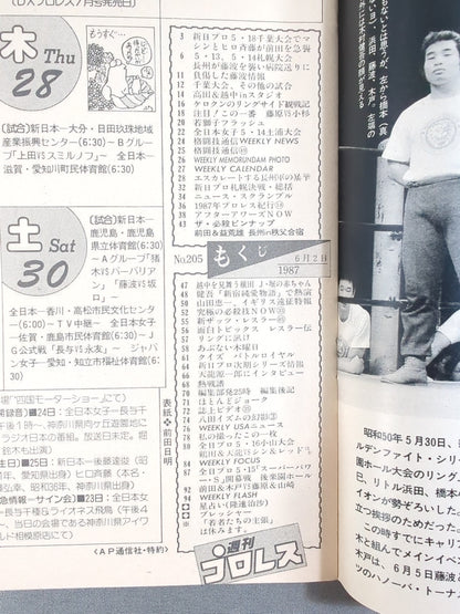週刊プロレス205