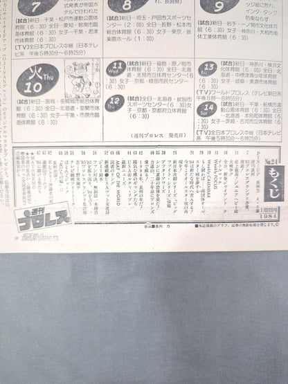 週刊プロレス24