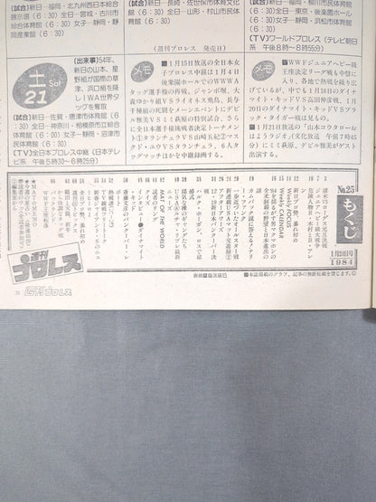 週刊プロレス25