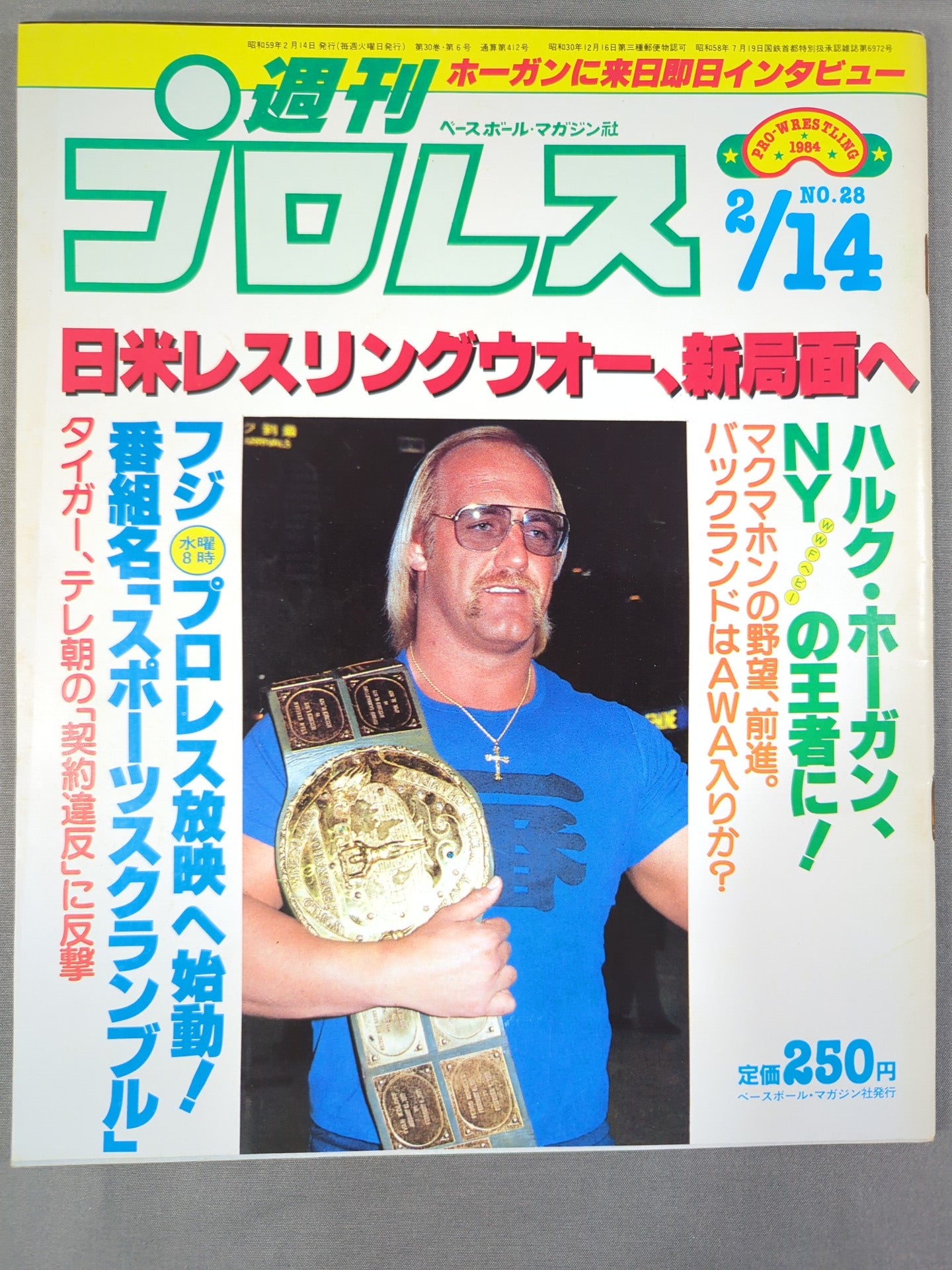 週刊プロレス28