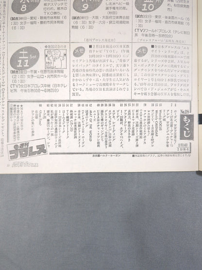 週刊プロレス28