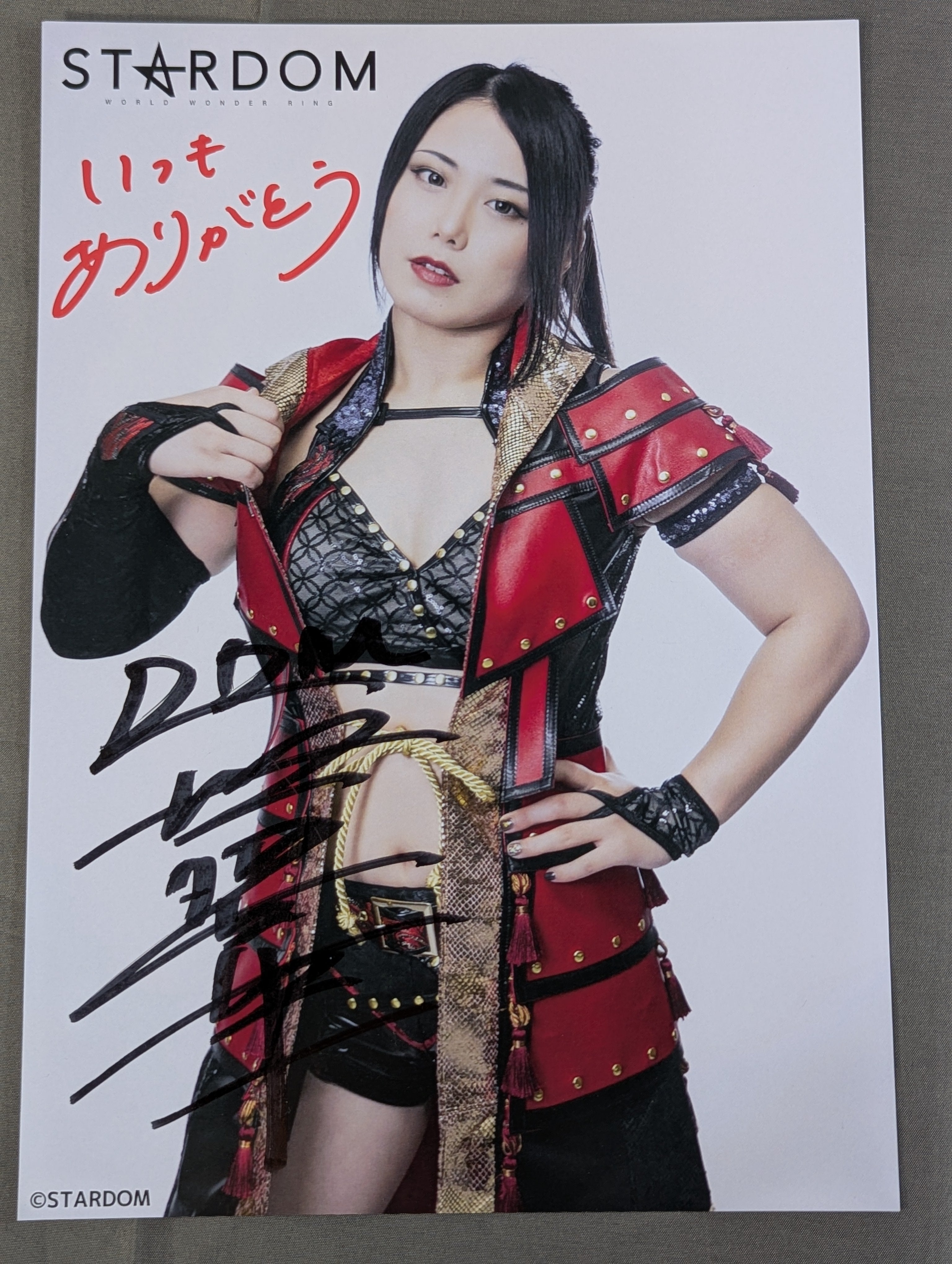 舞華 直筆サイン入り スターダムポートレート(T-9) – 闘道館